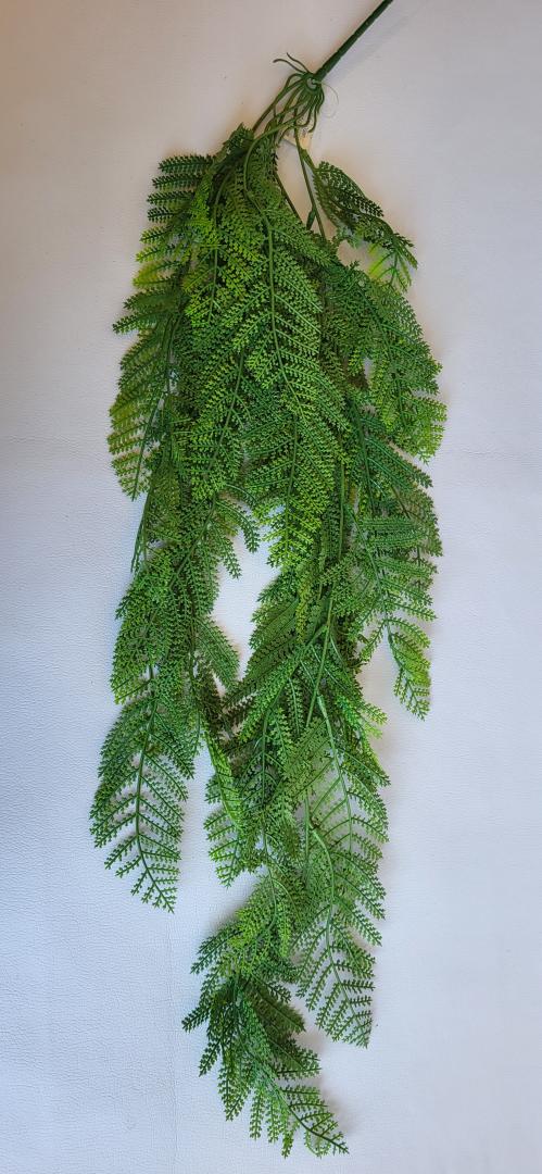 Feriga Curgatoare Verde