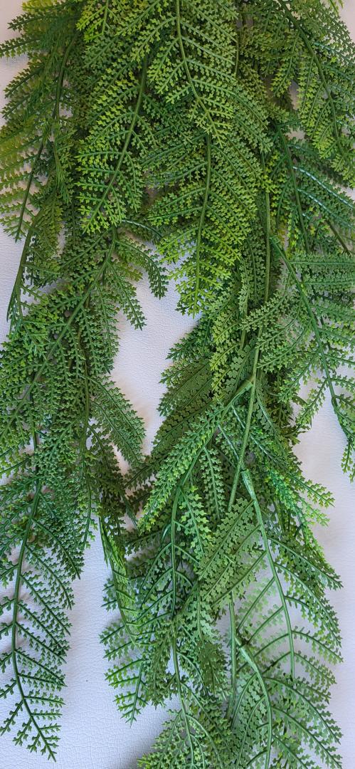 Feriga Curgatoare Verde