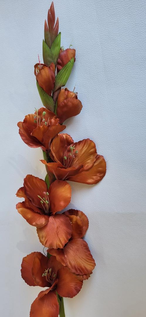 Gladiola Artificiala