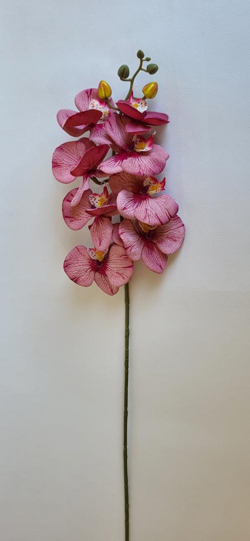 Ordidee Textil 8capete Color9