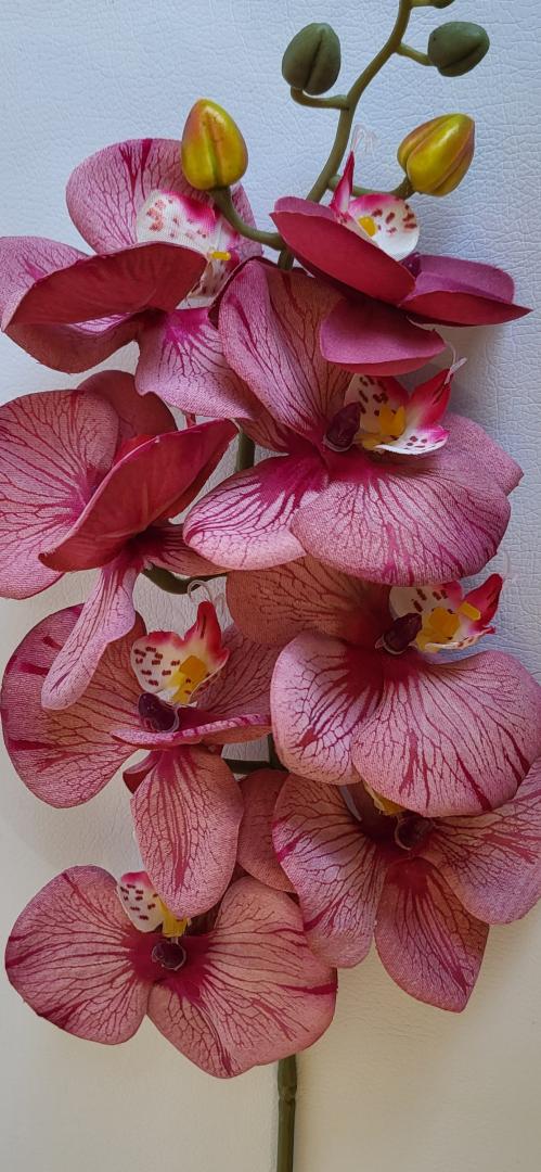 Ordidee Textil 8capete Color9