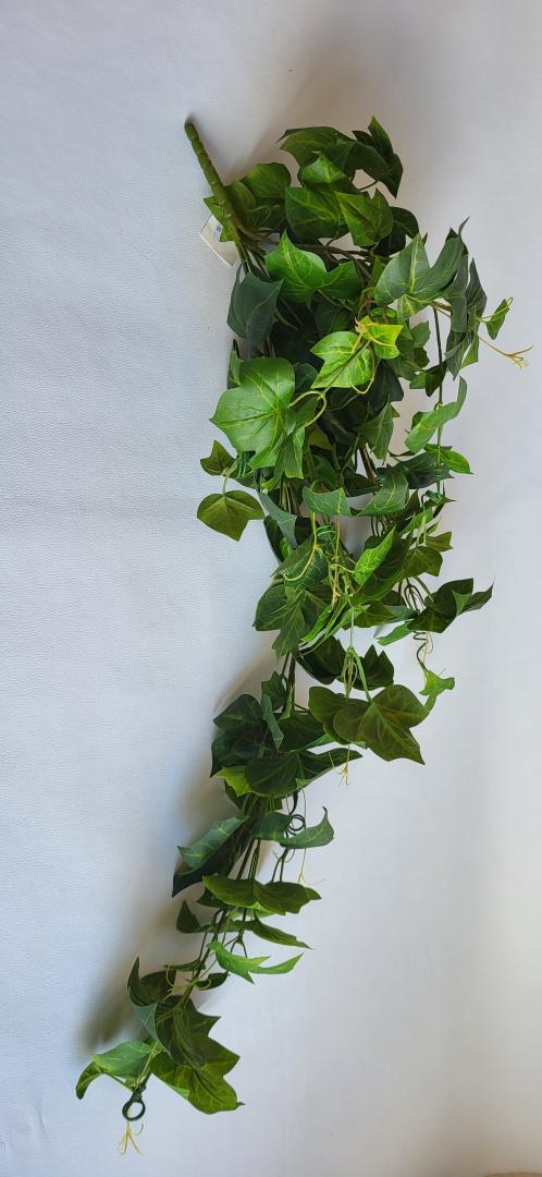 Buchet Iedera 8 fire