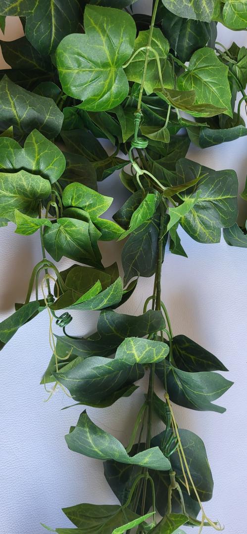 Buchet Iedera 8 fire