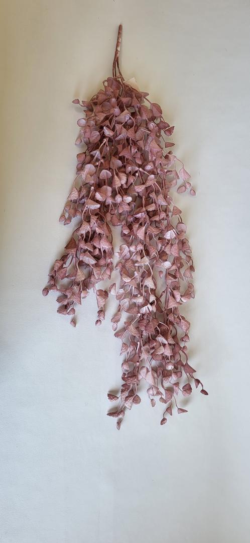 Buchet Curgator  Plamaniu