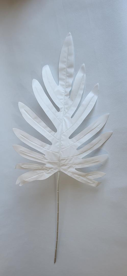 Frunza Palmier Mare Alb