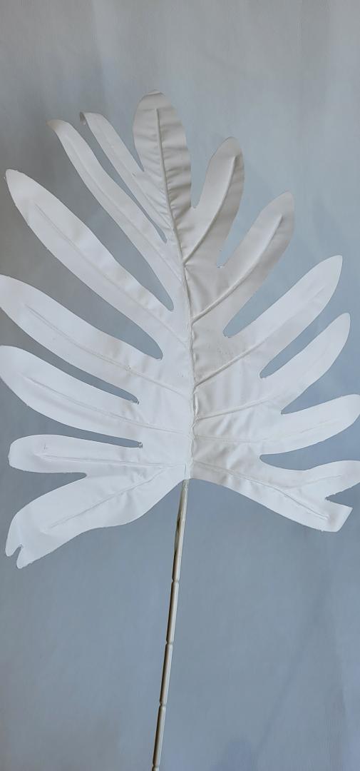 Frunza Palmier Mare Alb