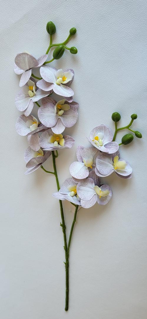 Mini Orhidee 2fire Grii