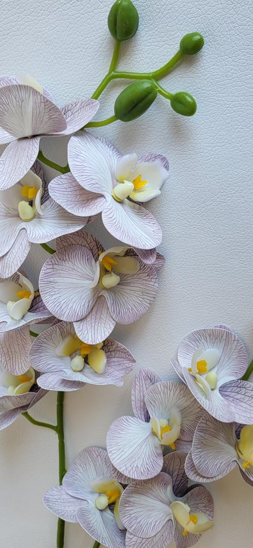 Mini Orhidee 2fire Grii