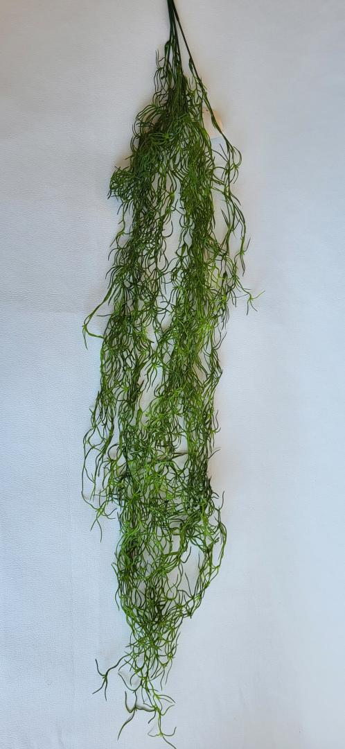 Tilansia Curgator Verde Inchis