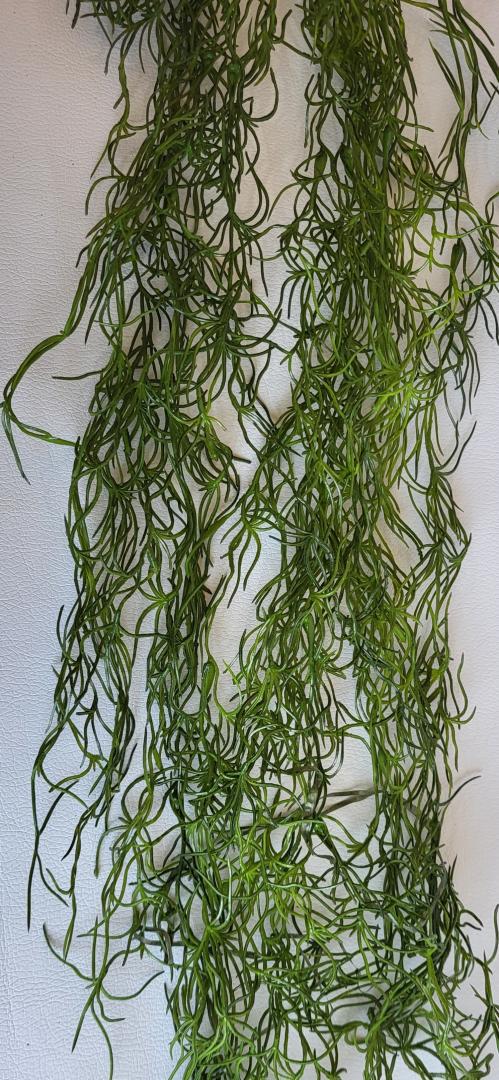 Tilansia Curgator Verde Inchis