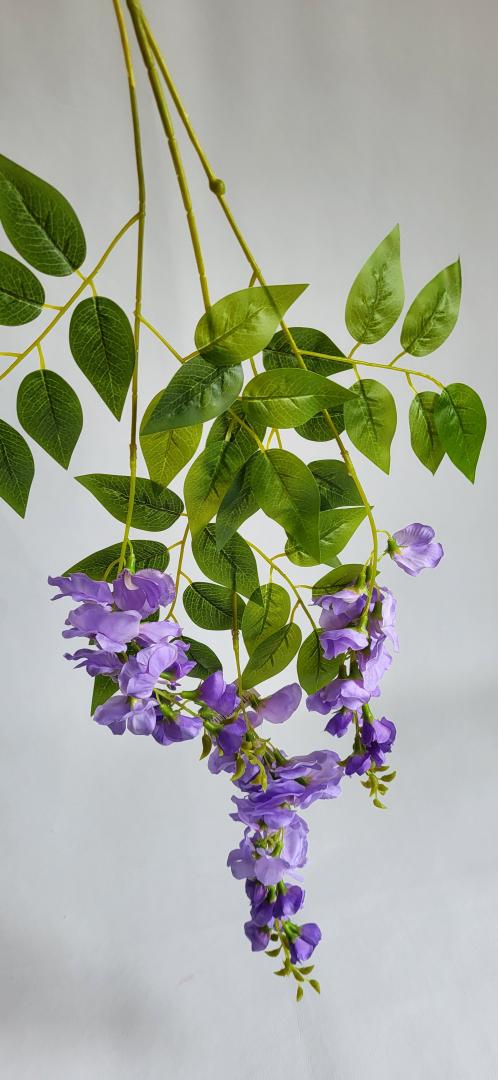 Wisteria Artificiala Mov