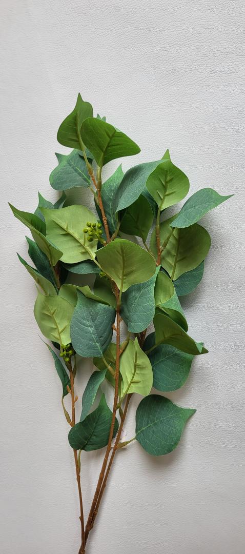 Creanga de Frunza Tip4