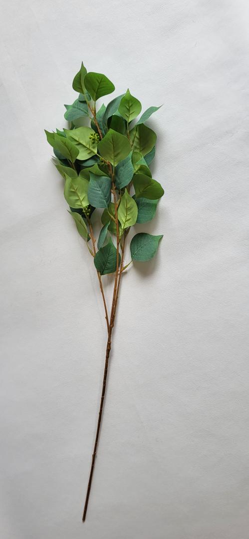 Creanga de Frunza Tip4