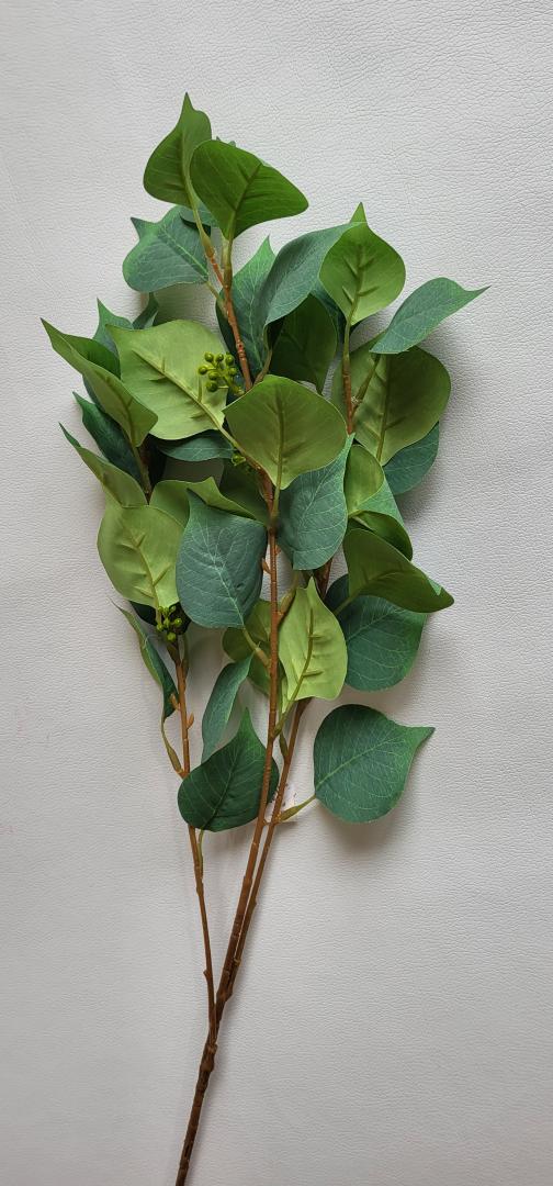 Creanga de Frunza Tip4