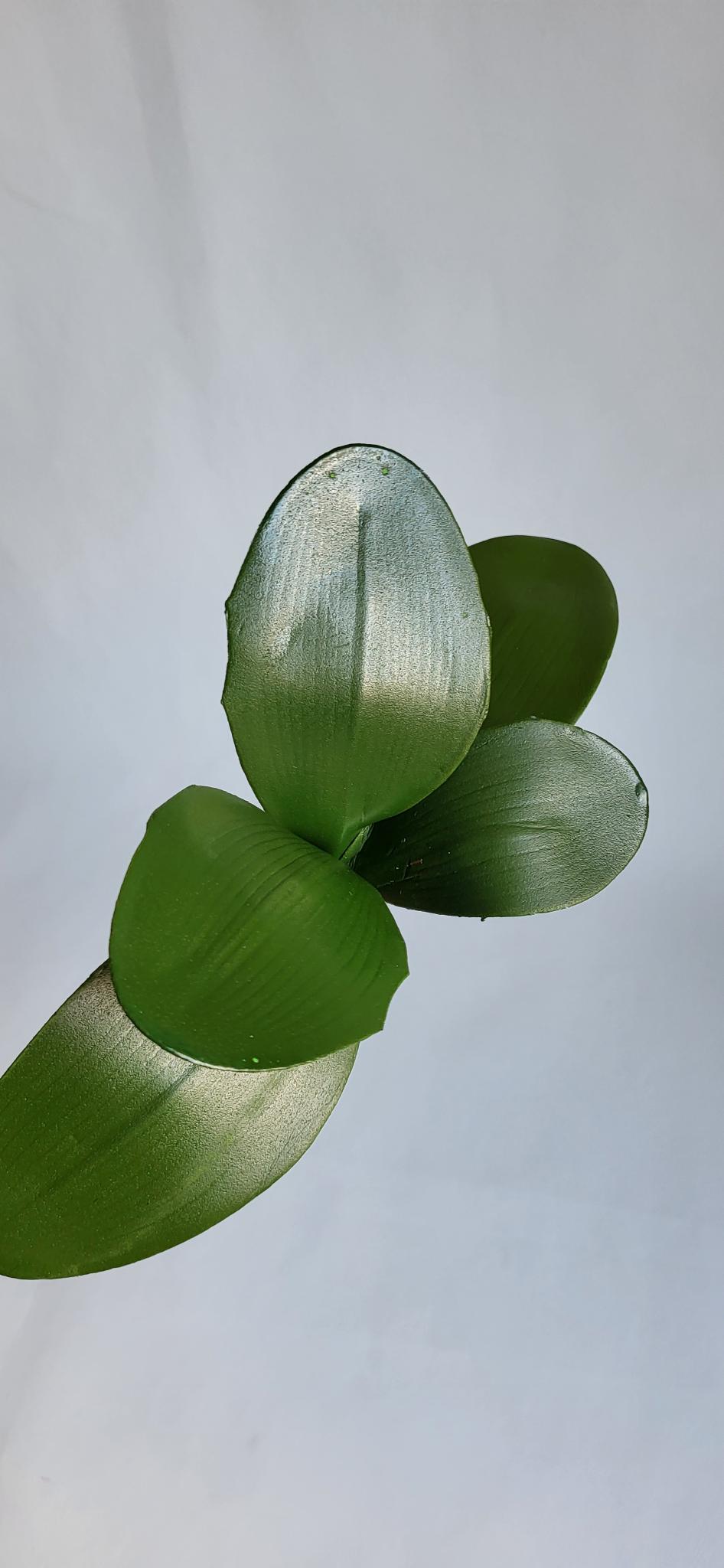 Frunza Orhidee Artificiala Mica