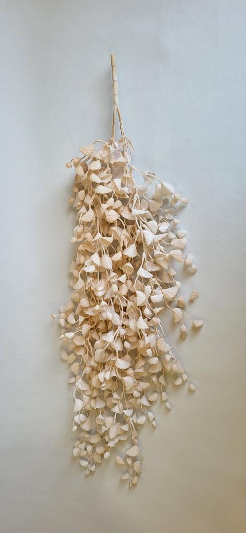 Buchet Curgator Crem