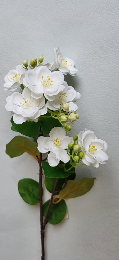 Creanga cu Flori Alb