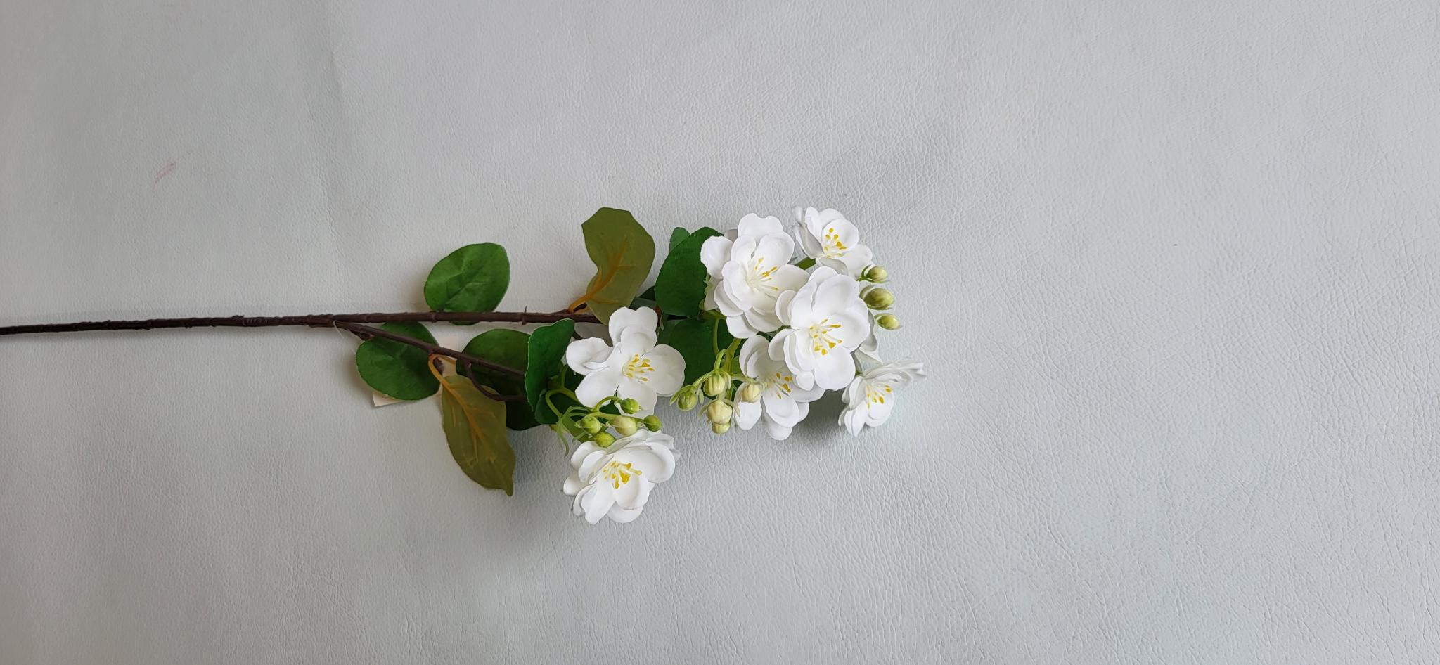 Creanga cu Flori Alb