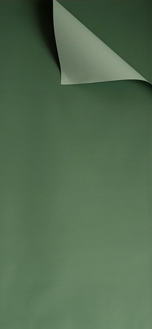 Folie De Ambalaj 20/set Siplu Verde