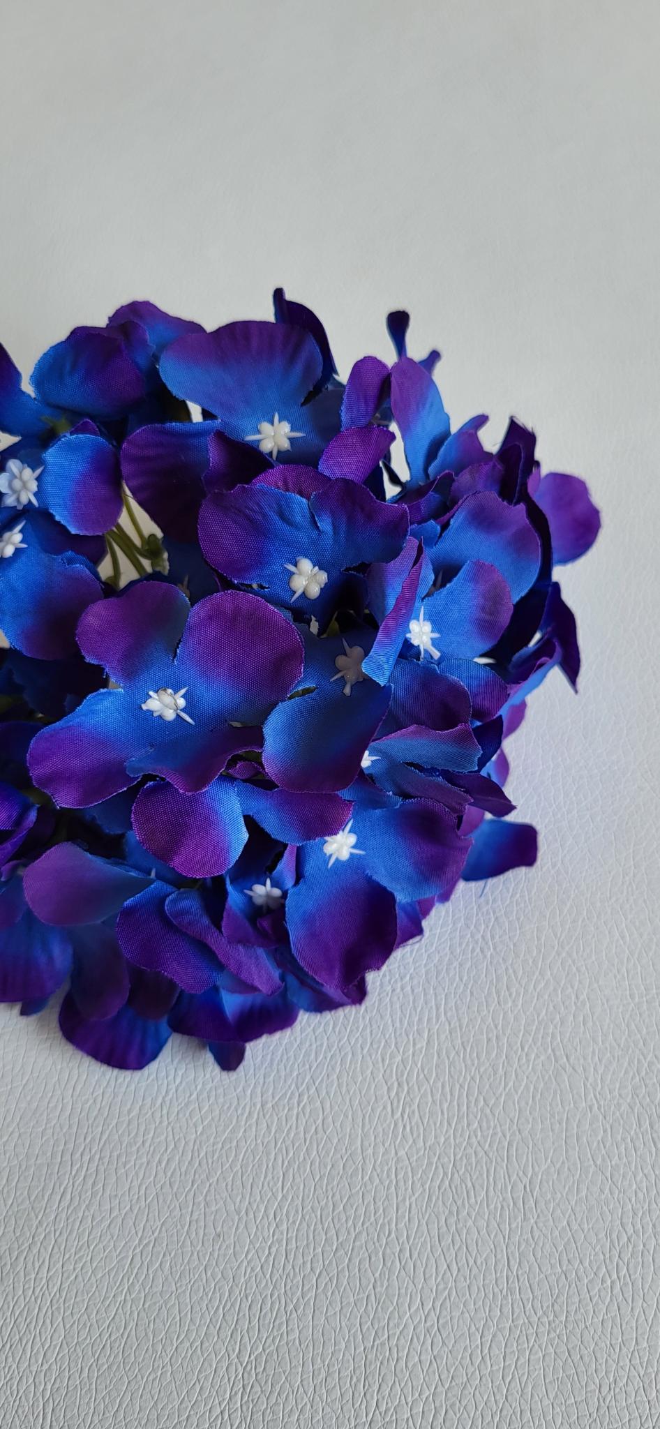 Hortensie albastru inchis