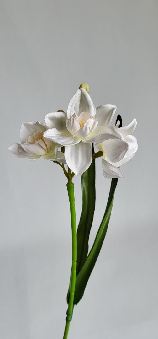 Narcisa Artificiala Tip1