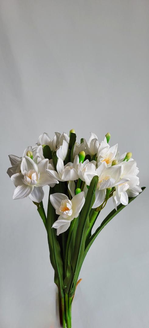 Narcisa Artificiala Tip1