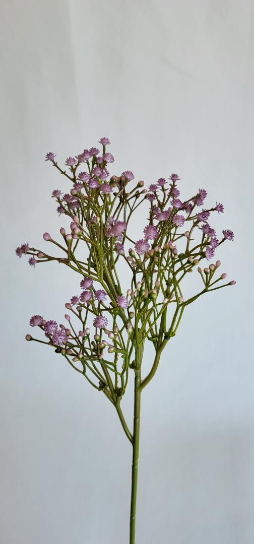 Gipsofhila Artificiala Mov