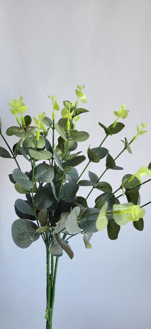 Buchet Eucalipt Artificial 4 crengi