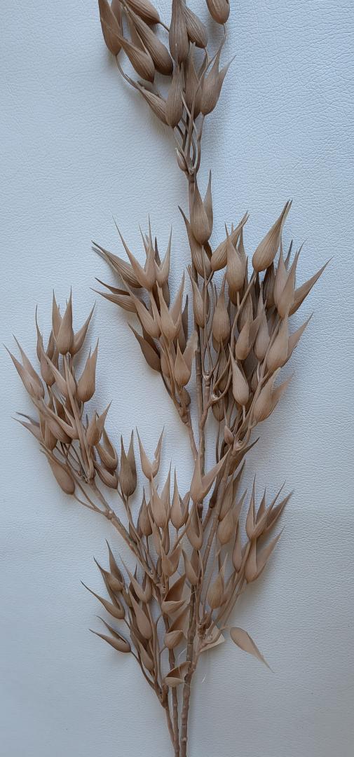 Creanga Decorativa Natur