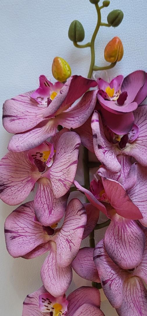 Ordidee Textil 8capete Color26