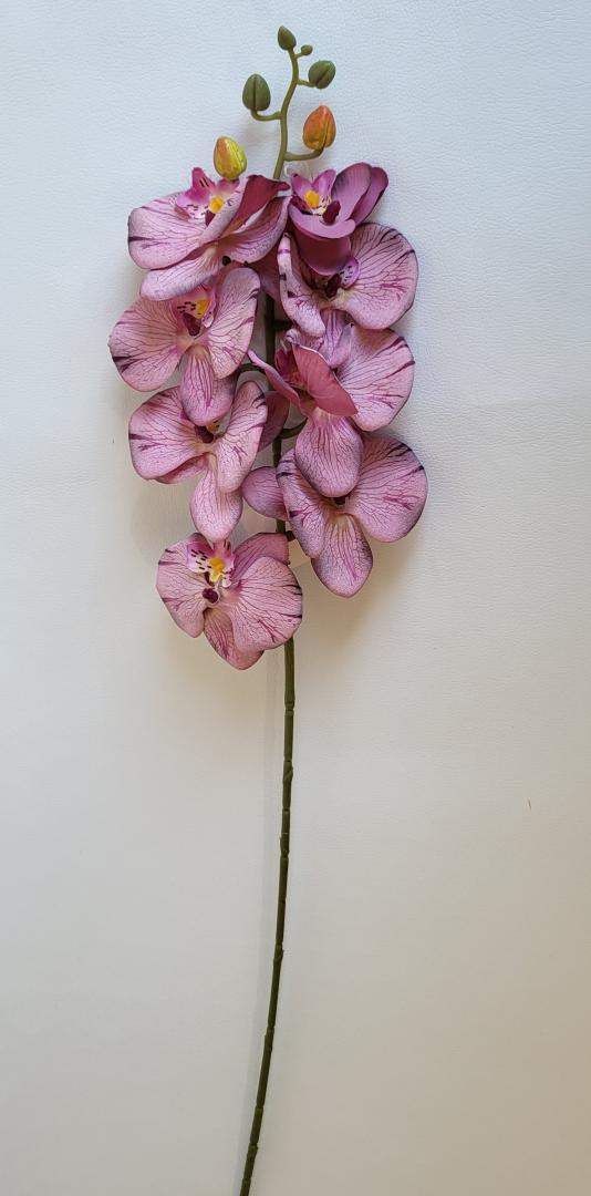 Ordidee Textil 8capete Color26