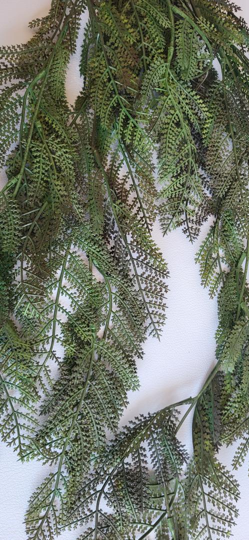 Feriga Curgatoare Verde Inchis