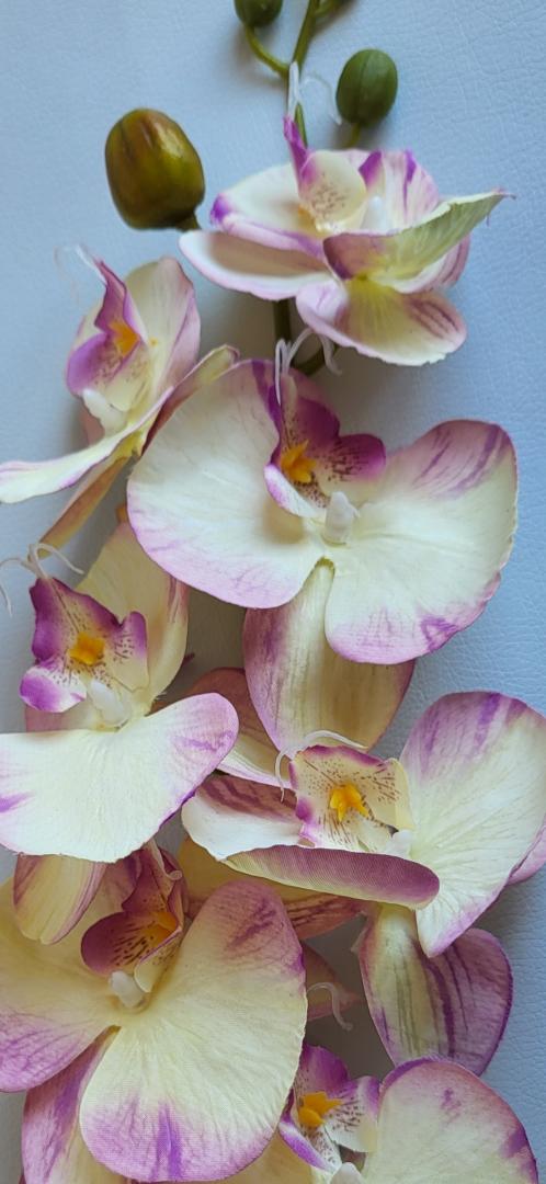 Orhidee Artificiala 8 capete Crem-Lila
