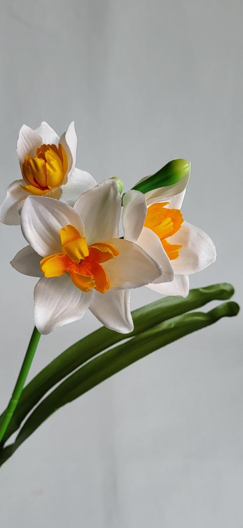 Narcisa Artificiala Tip3