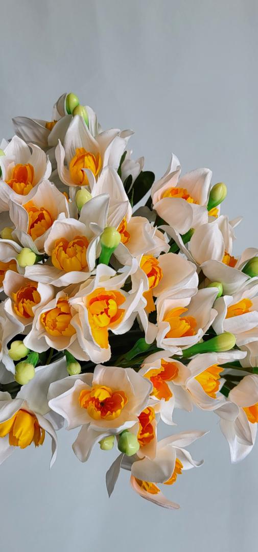 Narcisa Artificiala Tip3