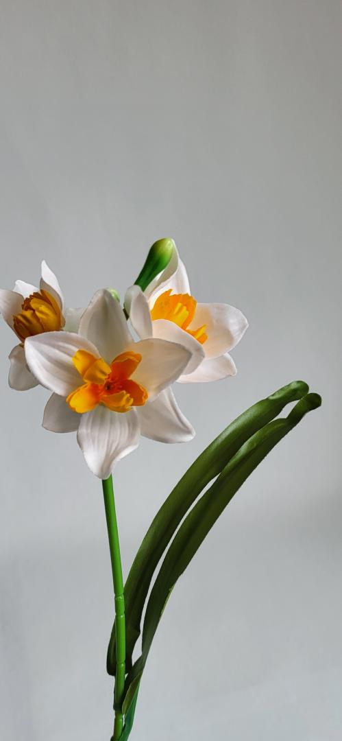 Narcisa Artificiala Tip3