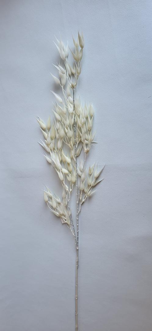 Creanga Decorativa Alba
