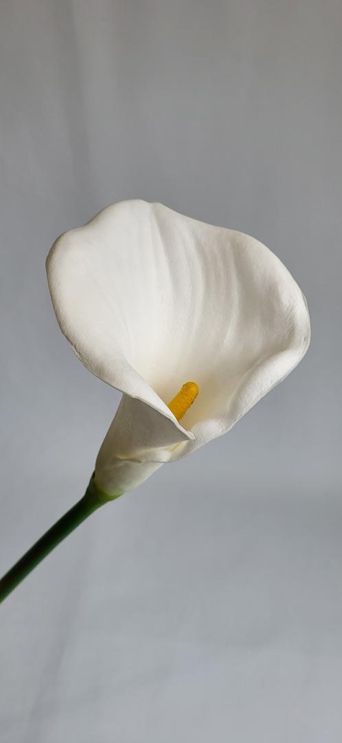 Calla Burete Mare