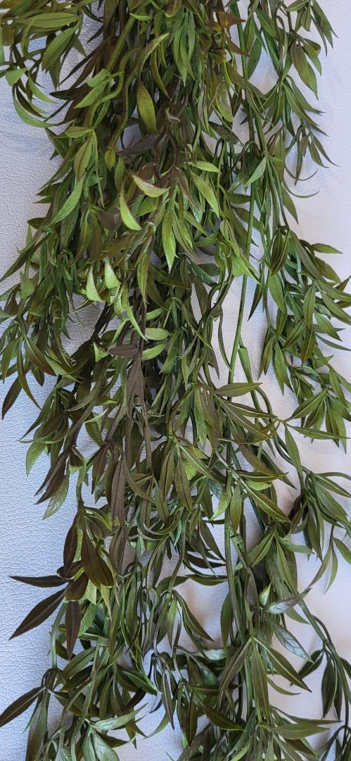 Buchet Curgator Vede inchis
