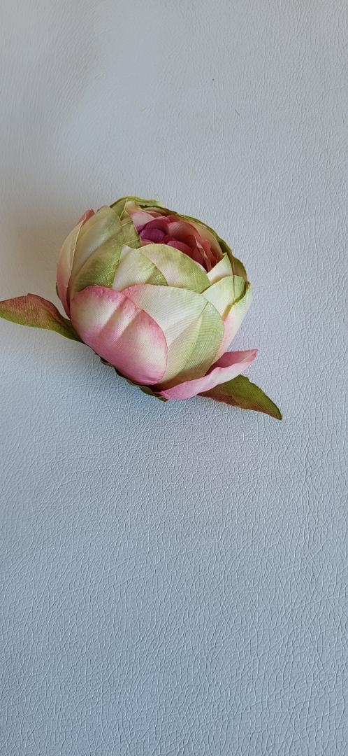 Cap Bujor Roz-Verde