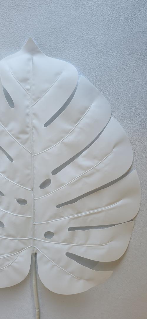 Frunza Monstera Alb