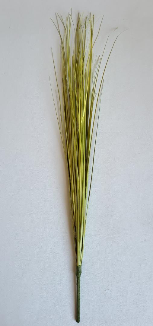 Iarbă de pampas