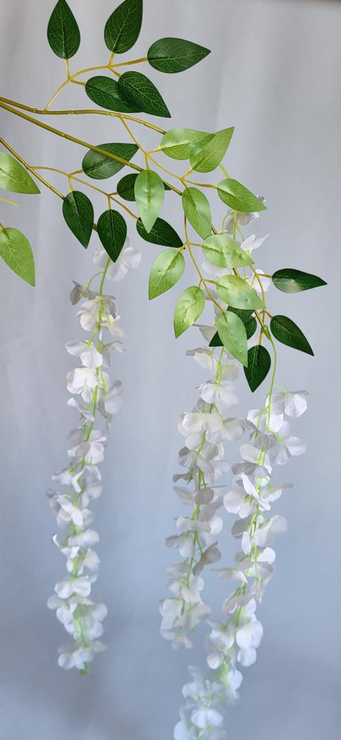Wisteria Artificiala Crem
