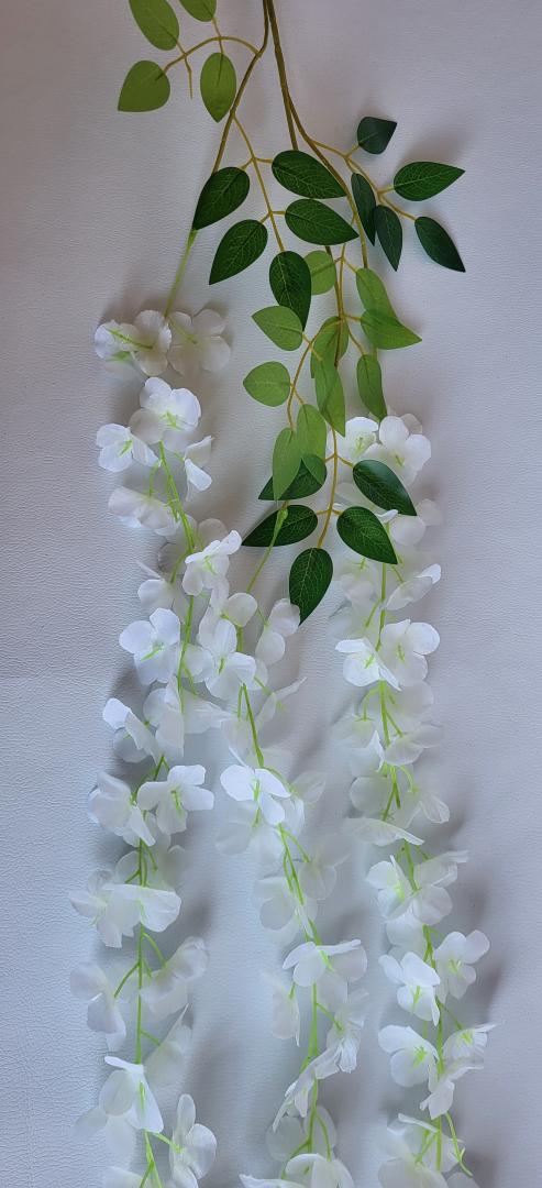 Wisteria Artificiala Crem