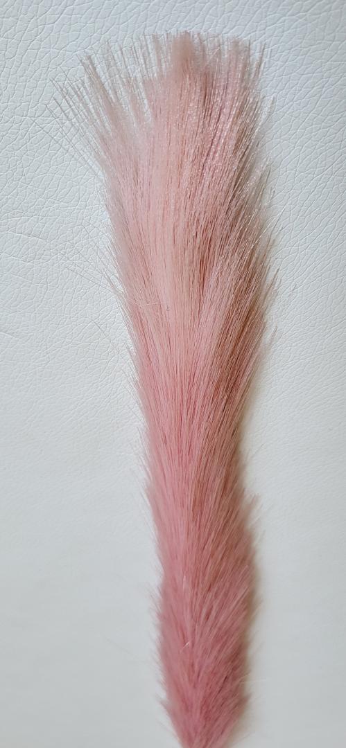 Iarbă de pampas