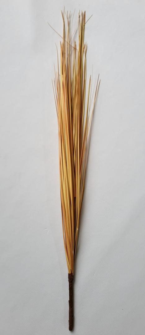 Iarbă de pampas