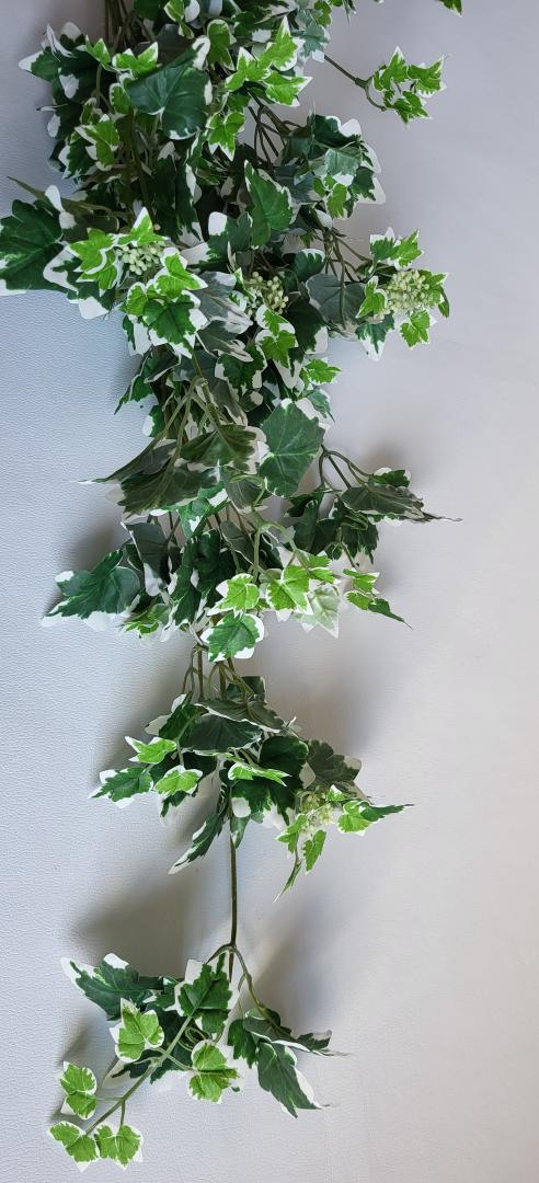 Buchet Iedera Curgator Alb-Verde