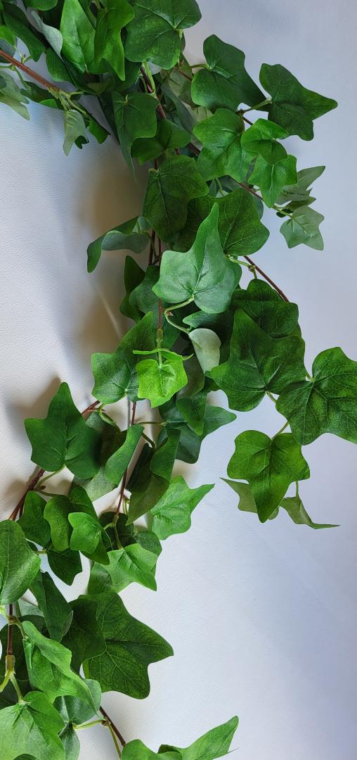 Buchet Iedera Mare