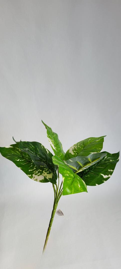 Buchet 9 Frunze