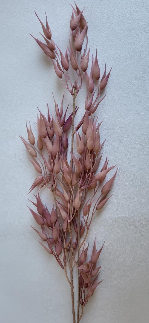 Creanga Decorativa Roz-Plamaniu